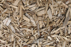biomass boilers Arabella